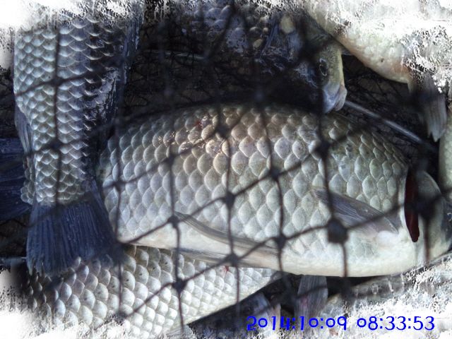 �ٹ̱�_DSC04058.JPG