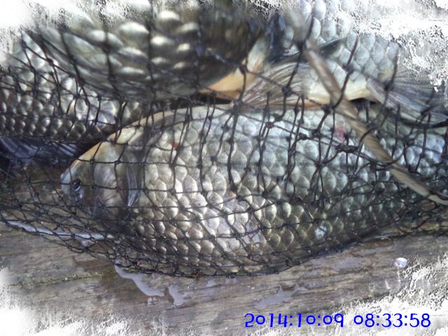 �ٹ̱�_DSC04059.JPG