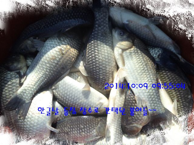 �ٹ̱�_DSC04062.JPG