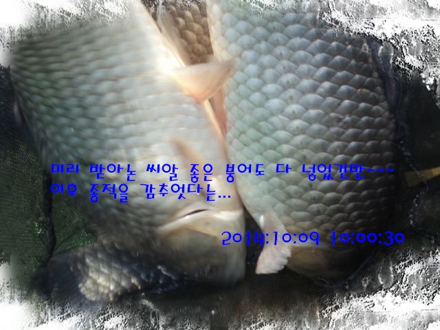 �ٹ̱�_DSC04064.JPG