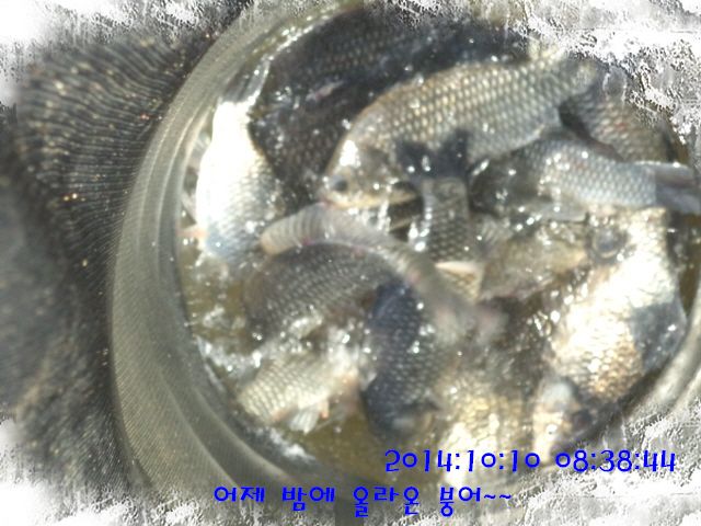 �ٹ̱�_DSC04069.JPG