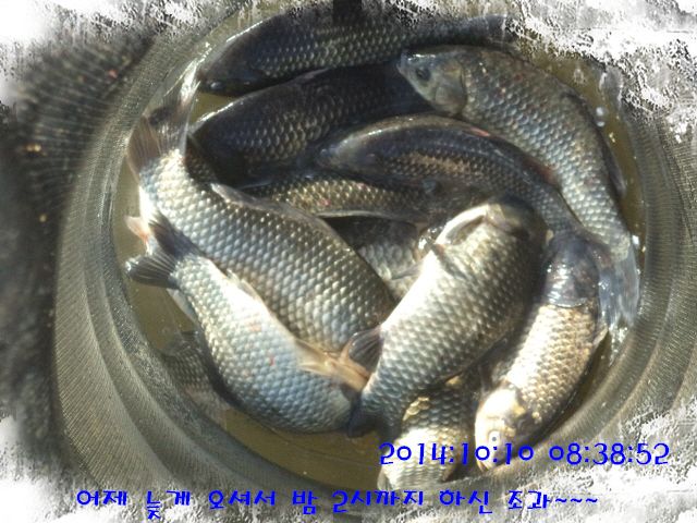�ٹ̱�_DSC04070.JPG