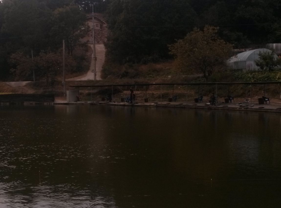 CAM02182.jpg