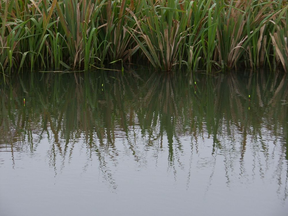 SH109570.JPG