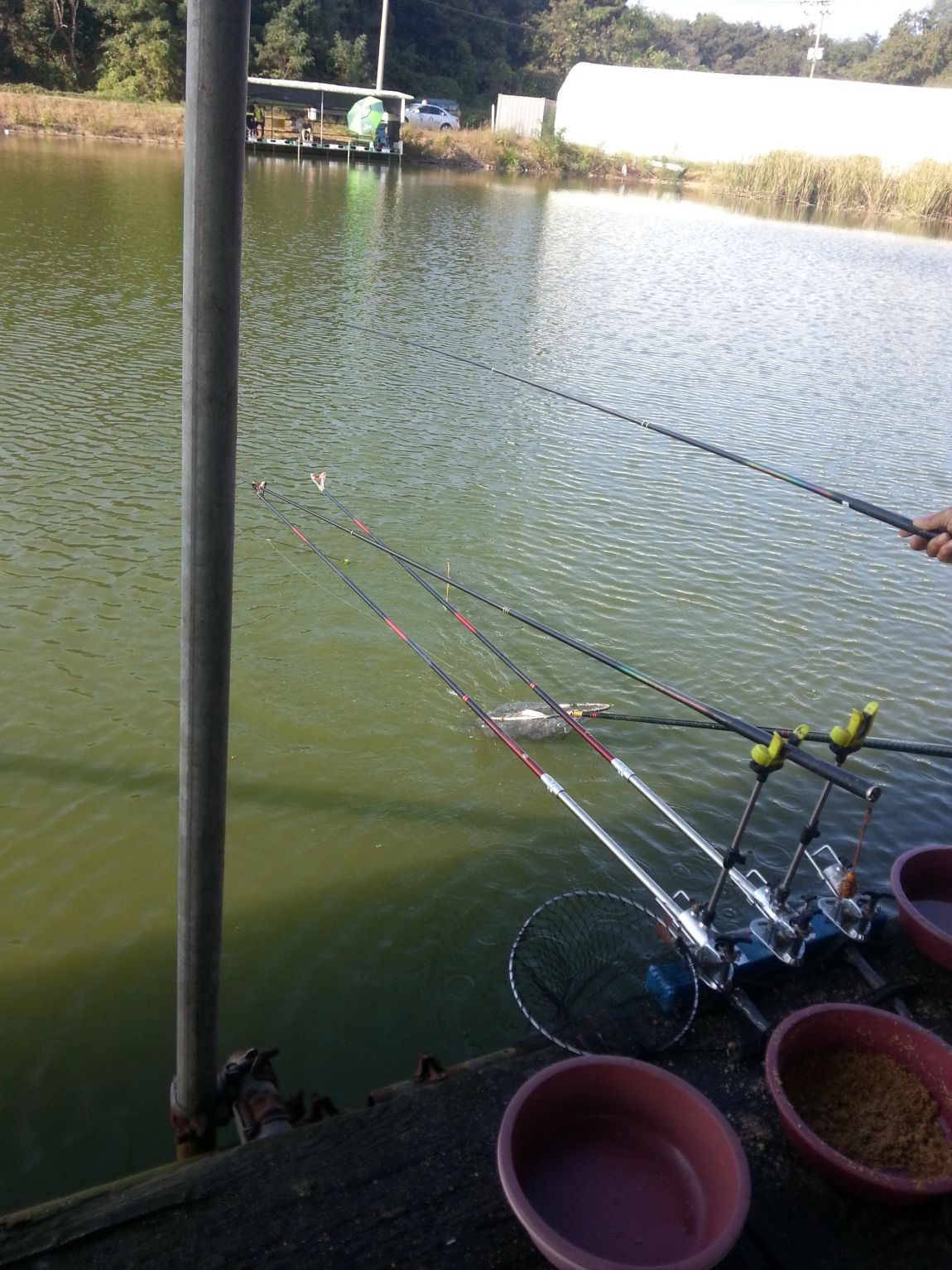 20141005_153053.jpg