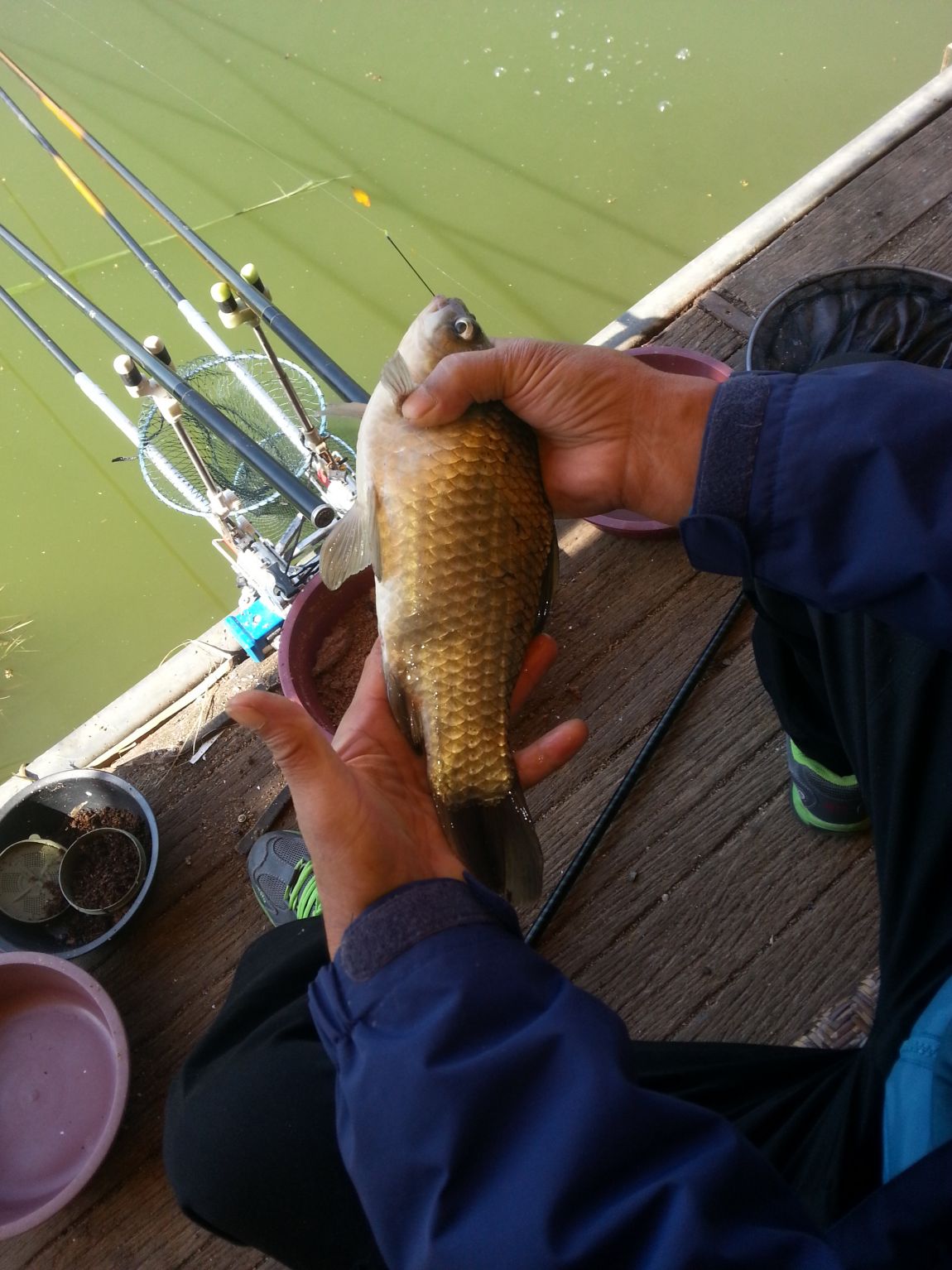 20141009_103426.jpg