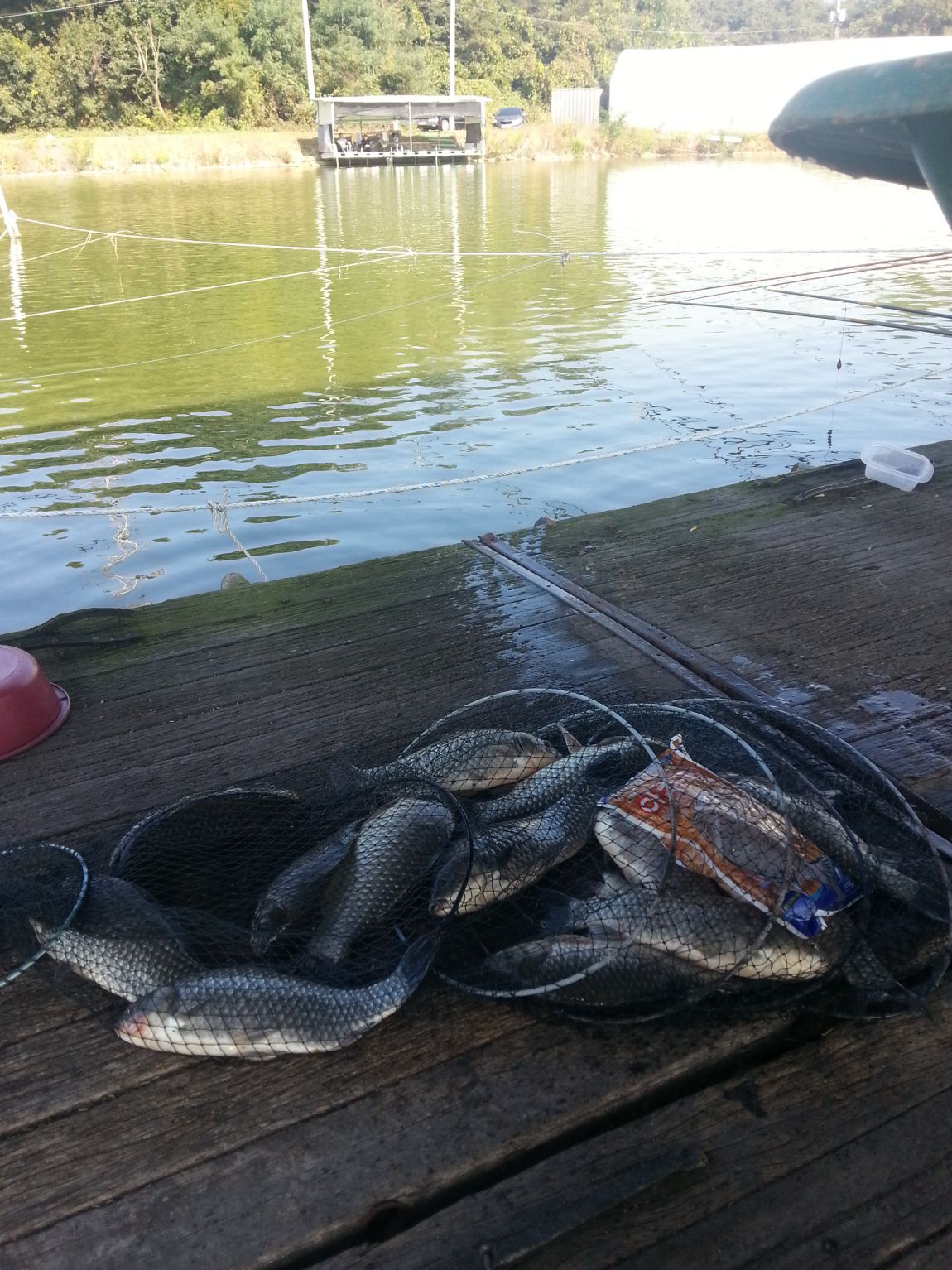 20141009_104724.jpg