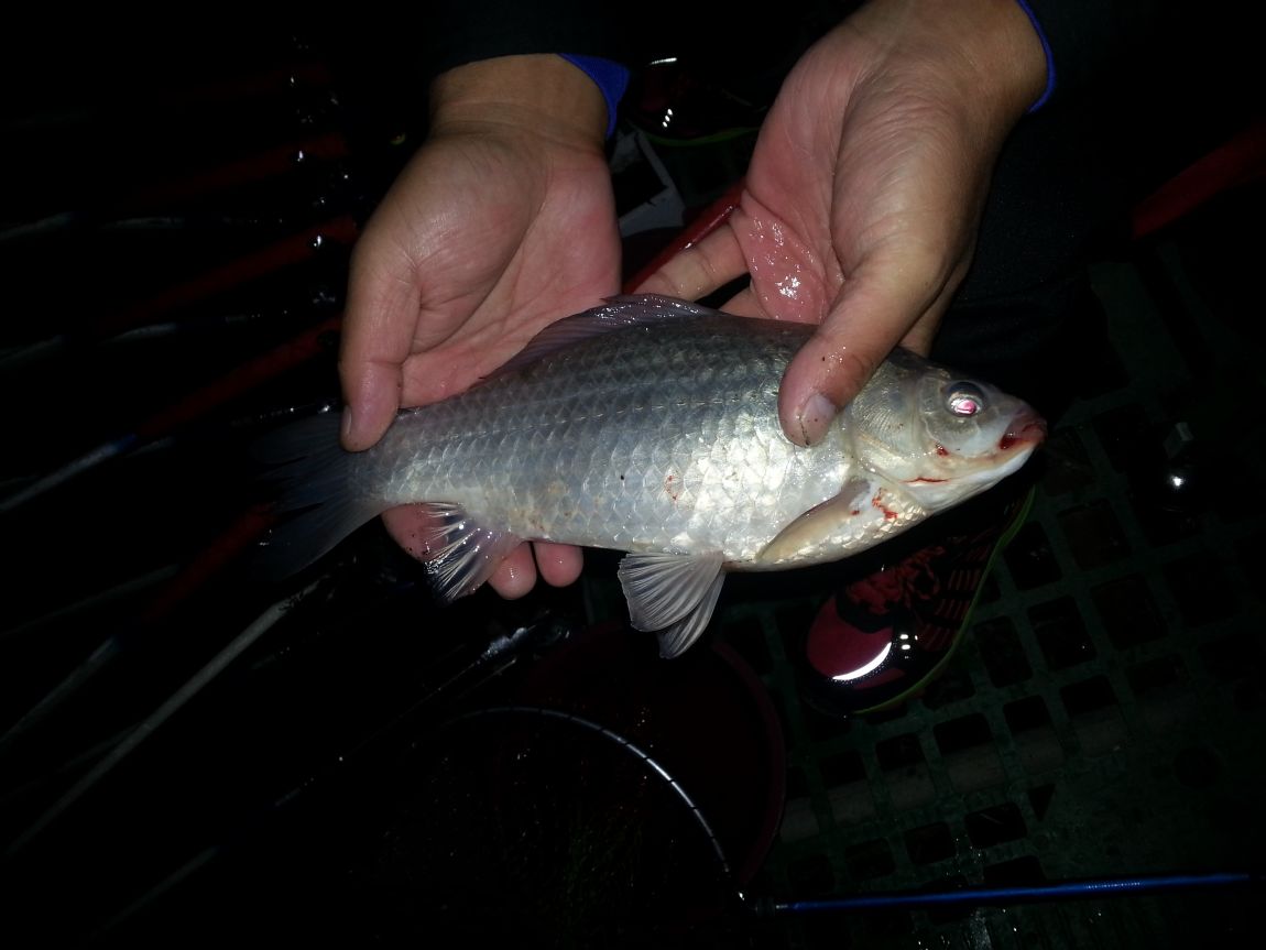 20141011_211858.jpg