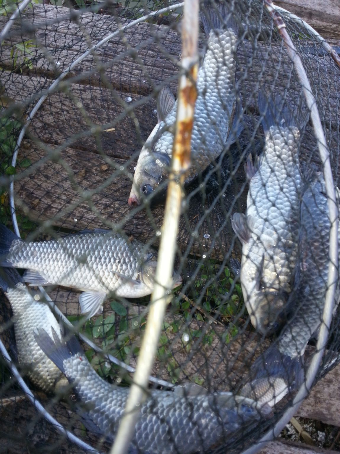 20141012_092818.jpg