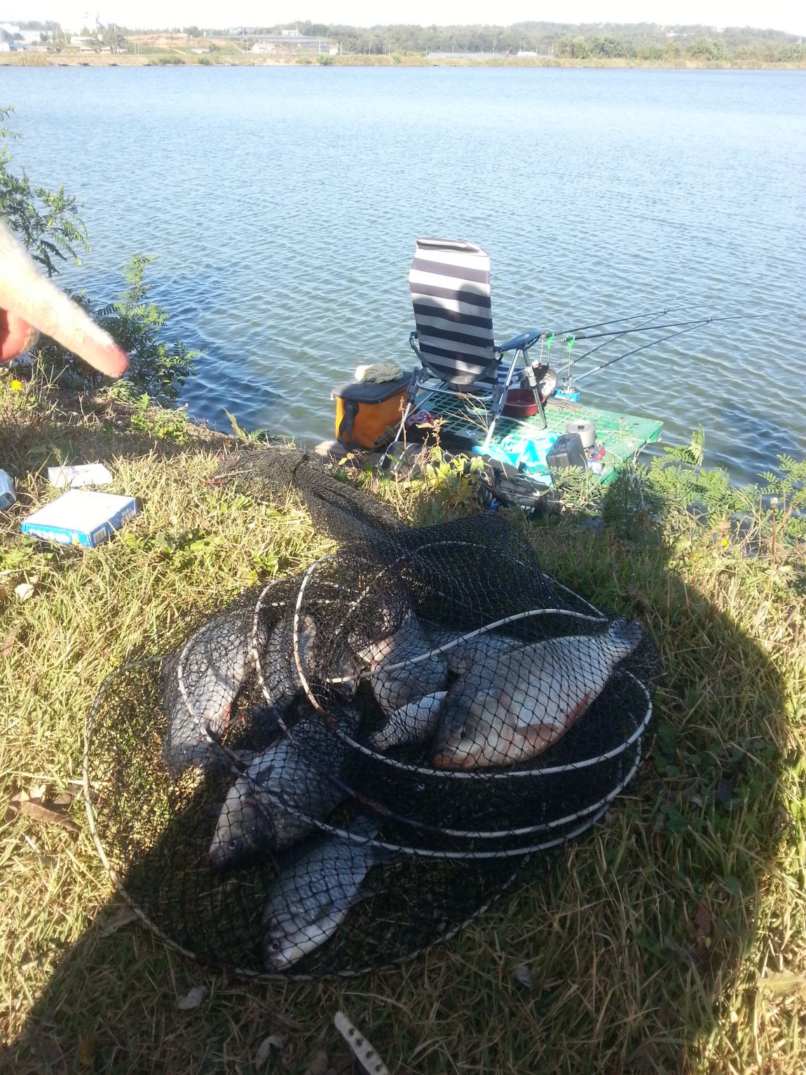 20141013_091151.jpg