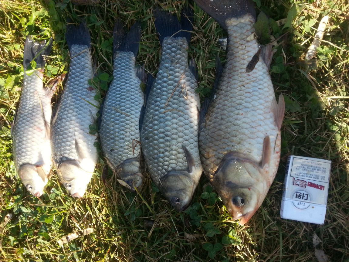 20141013_091417.jpg