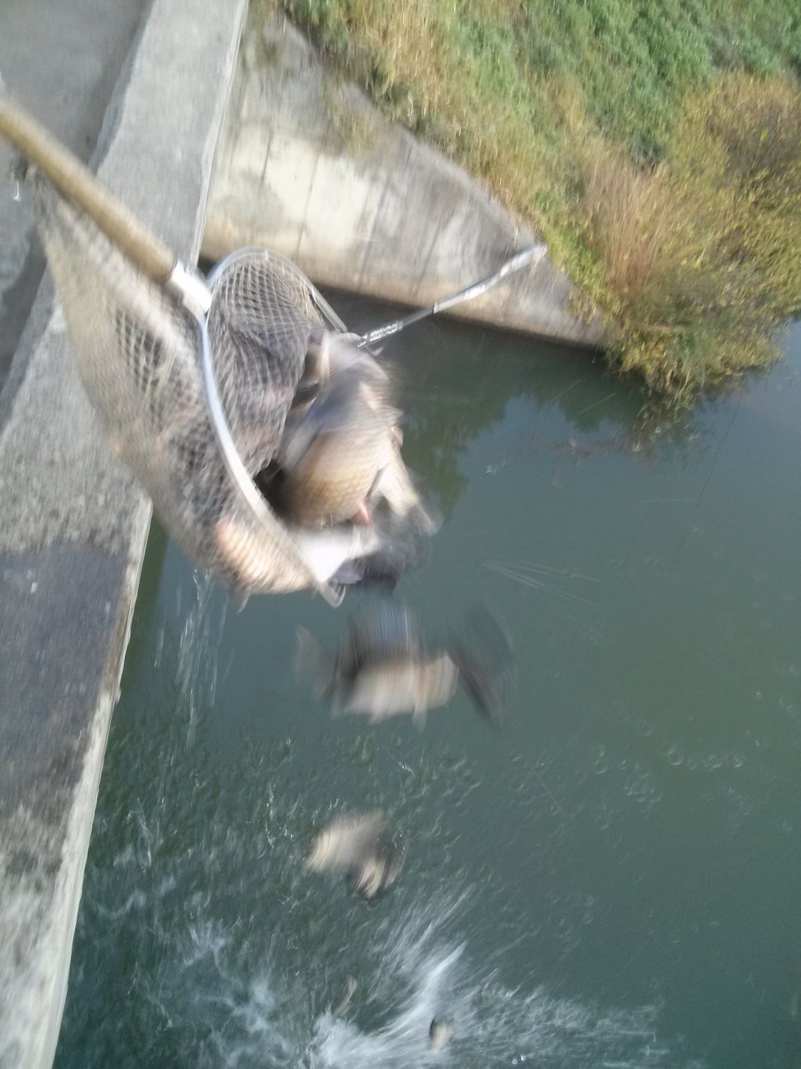CAM03260.jpg