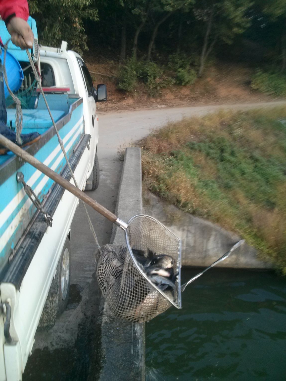 CAM03269.jpg