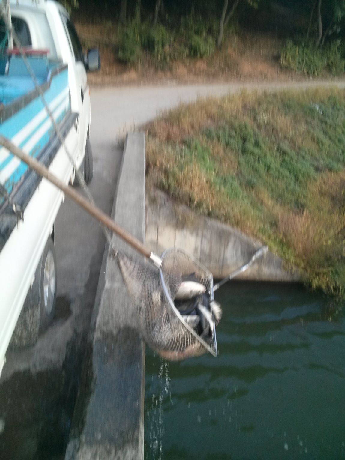 CAM03270.jpg