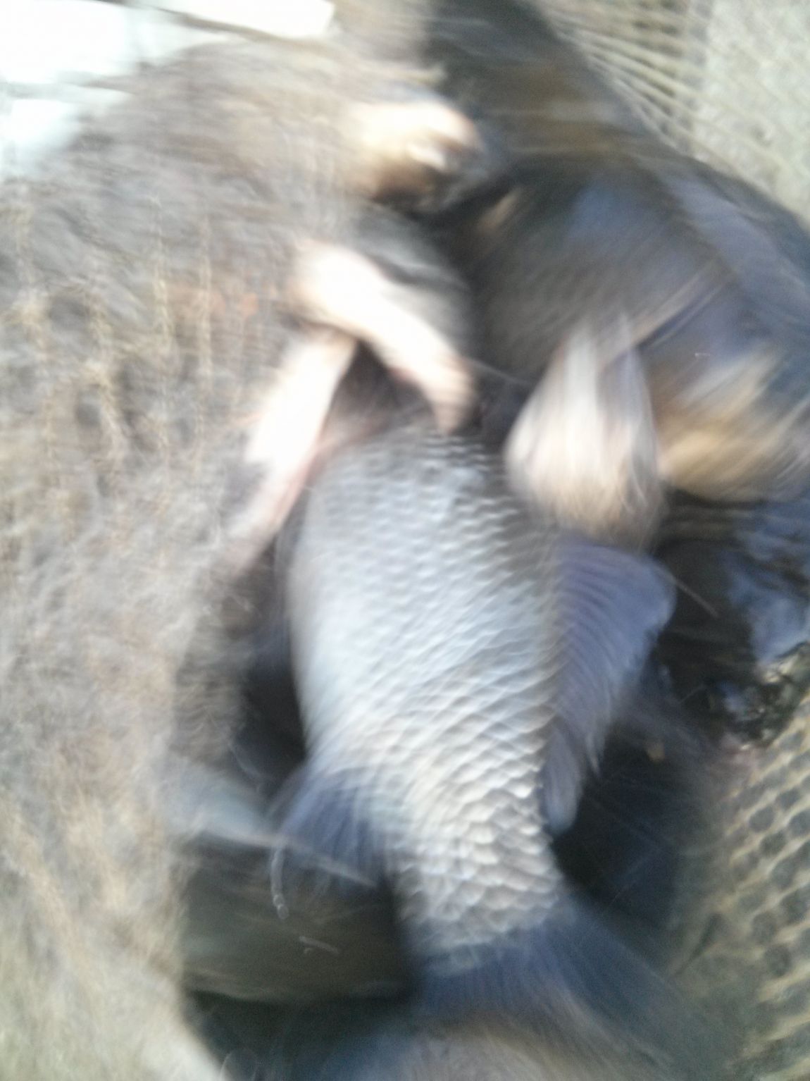CAM03296.jpg