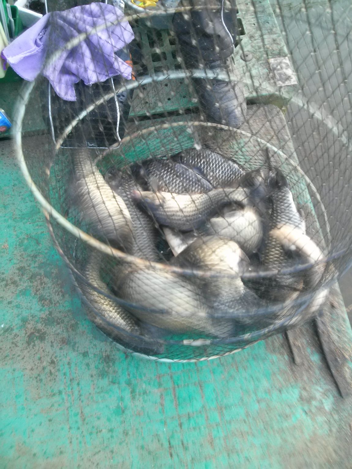 CAM03301.jpg