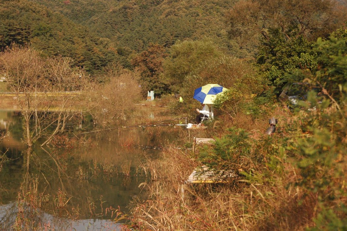 DSC_6587.JPG