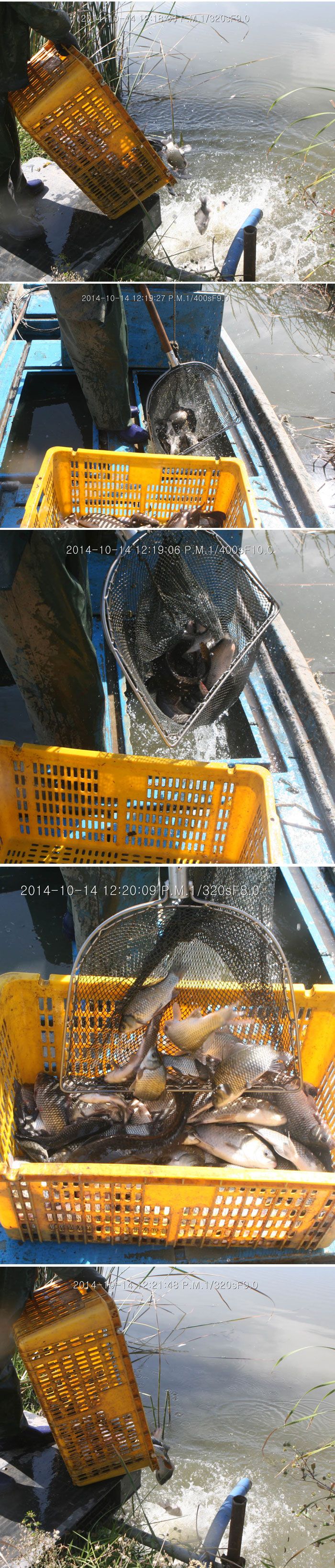 141016-08.jpg