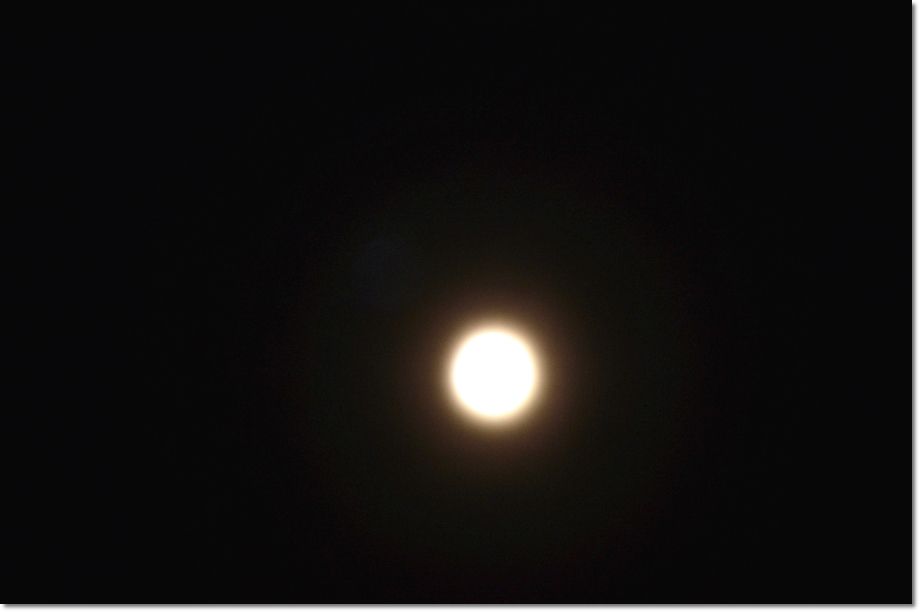 DSC_2104.JPG