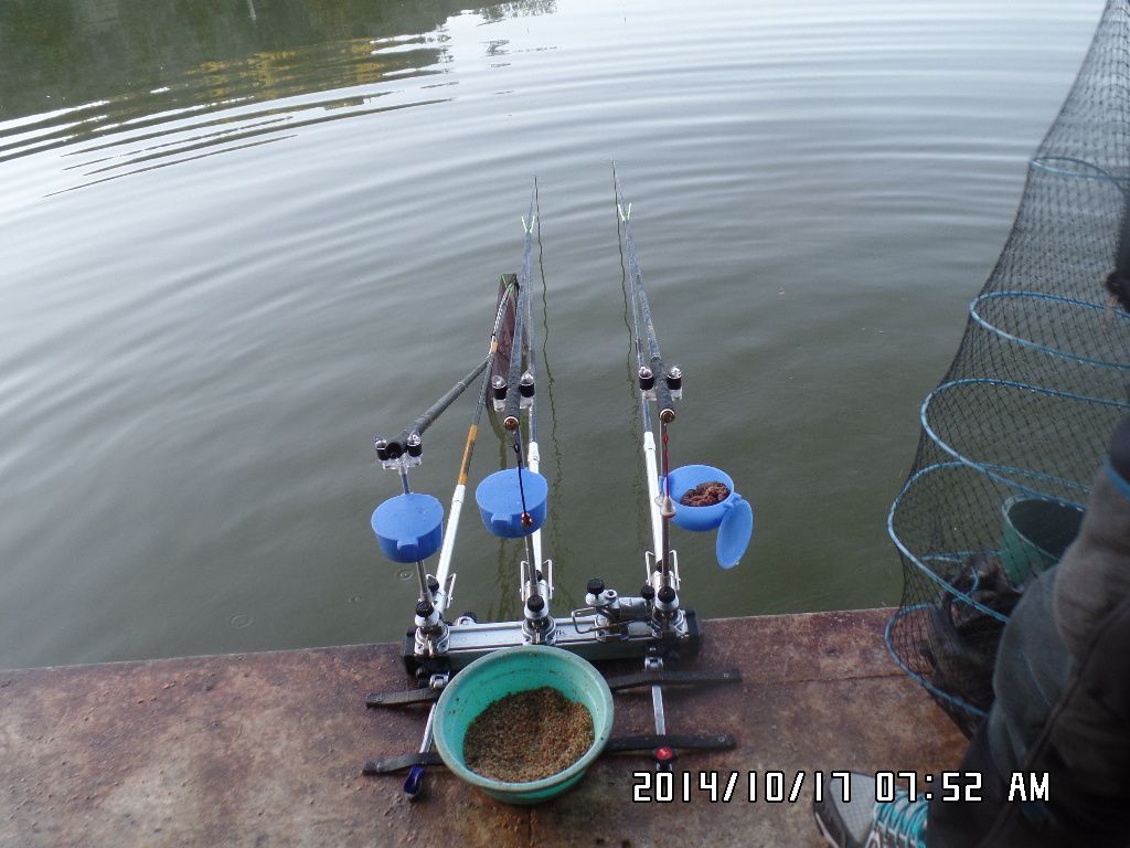SAM_2605.JPG