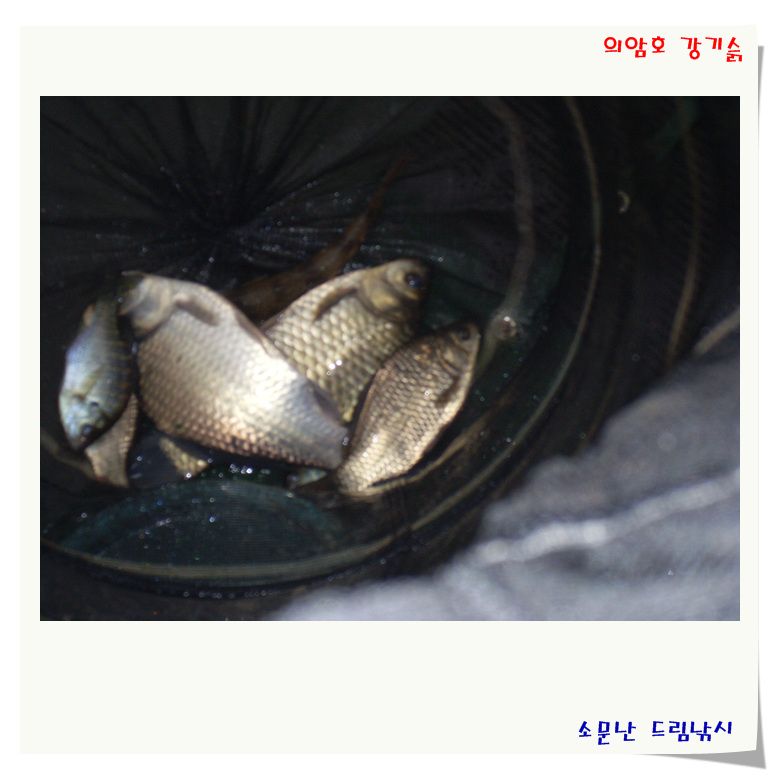 SL380269.jpg