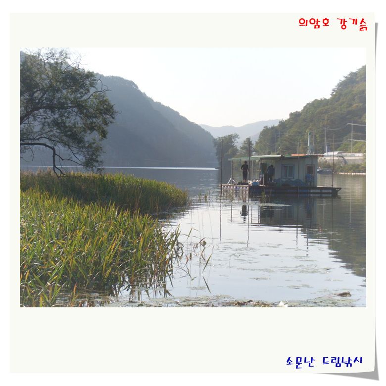 SL383354.jpg