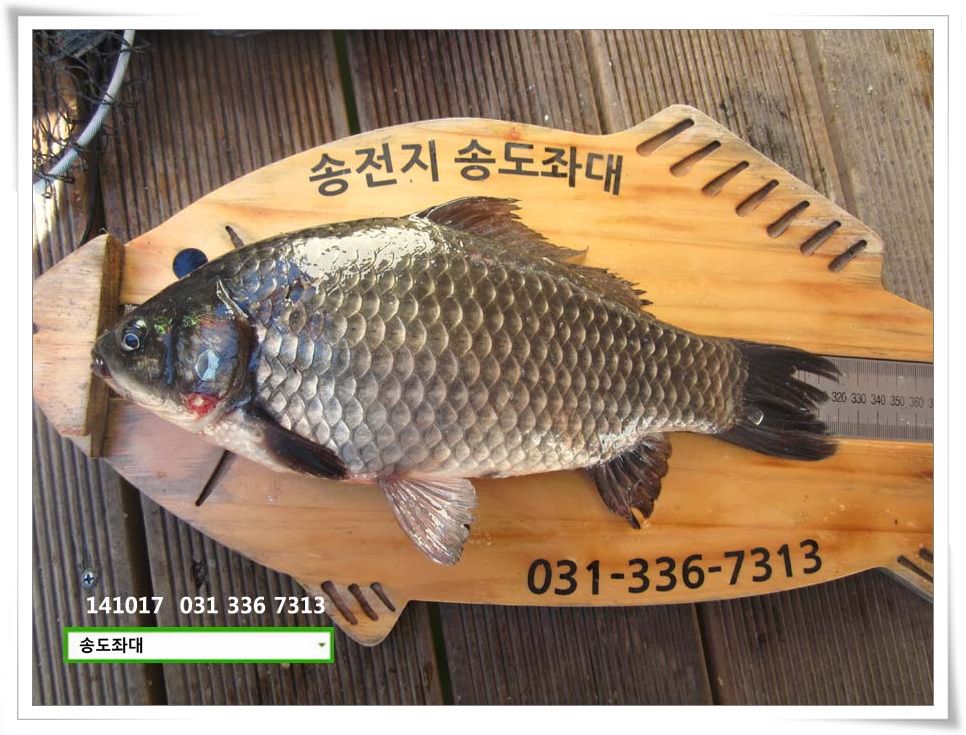 IMG_0003.JPG copy.jpg