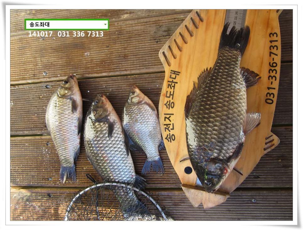 IMG_0005.JPG copy.jpg