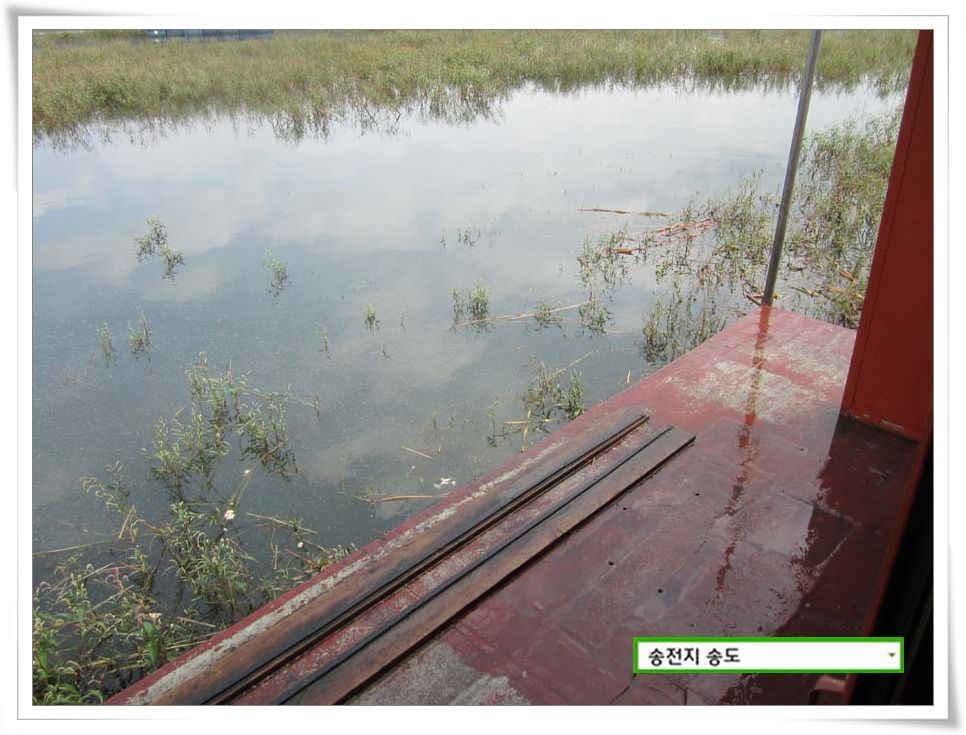 IMG_0006.JPG copy.jpg