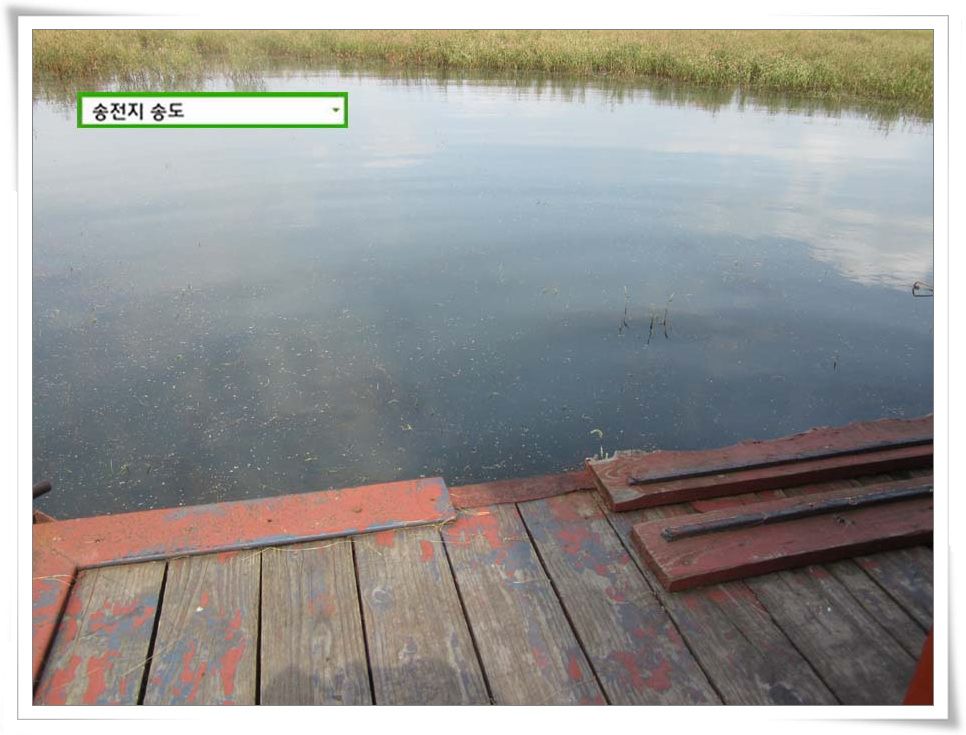 IMG_0010.JPG copy.jpg