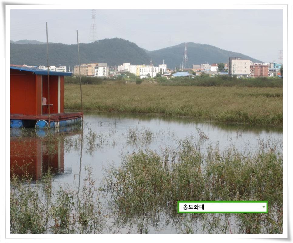 IMG_0008.JPG copy.jpg