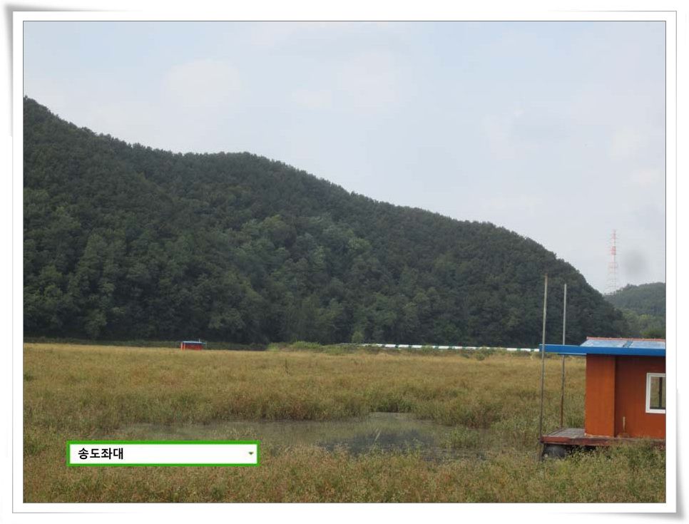 IMG_0013.JPG copy.jpg