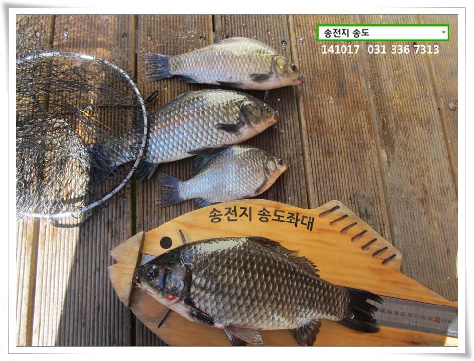 IMG_0016.JPG copy.jpg