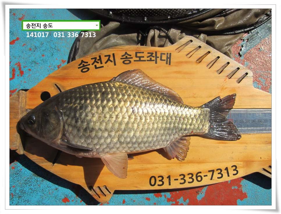 IMG_0007.JPG copy.jpg