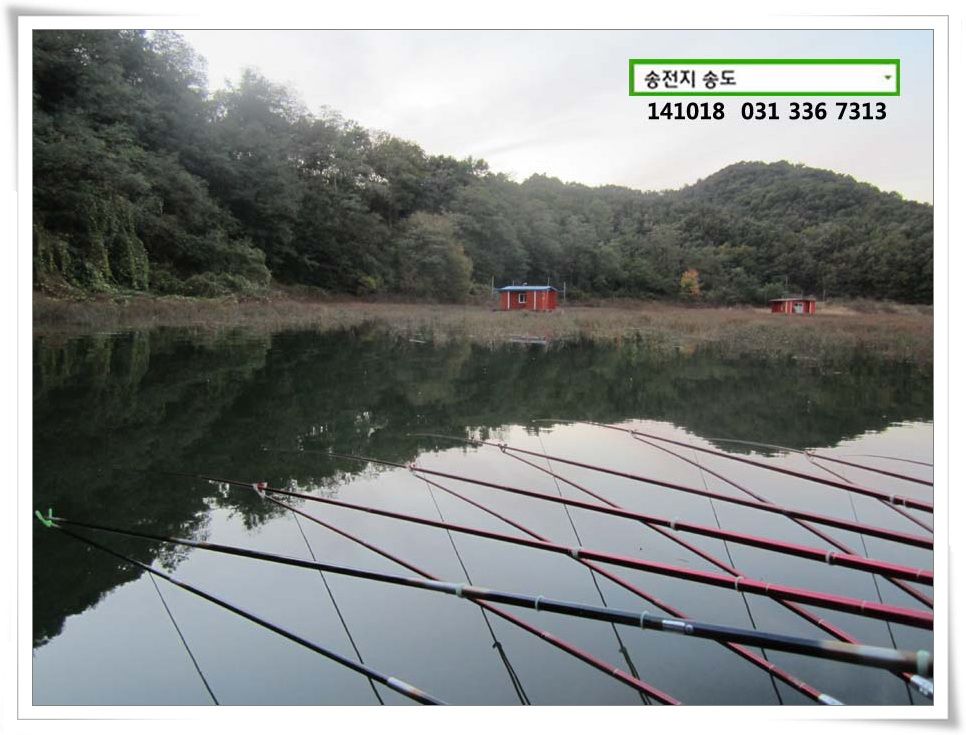 IMG_0011.JPG copy.jpg