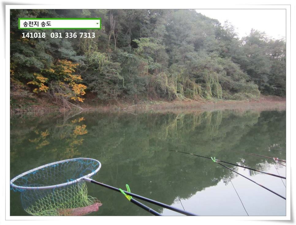 IMG_0017.JPG copy.jpg