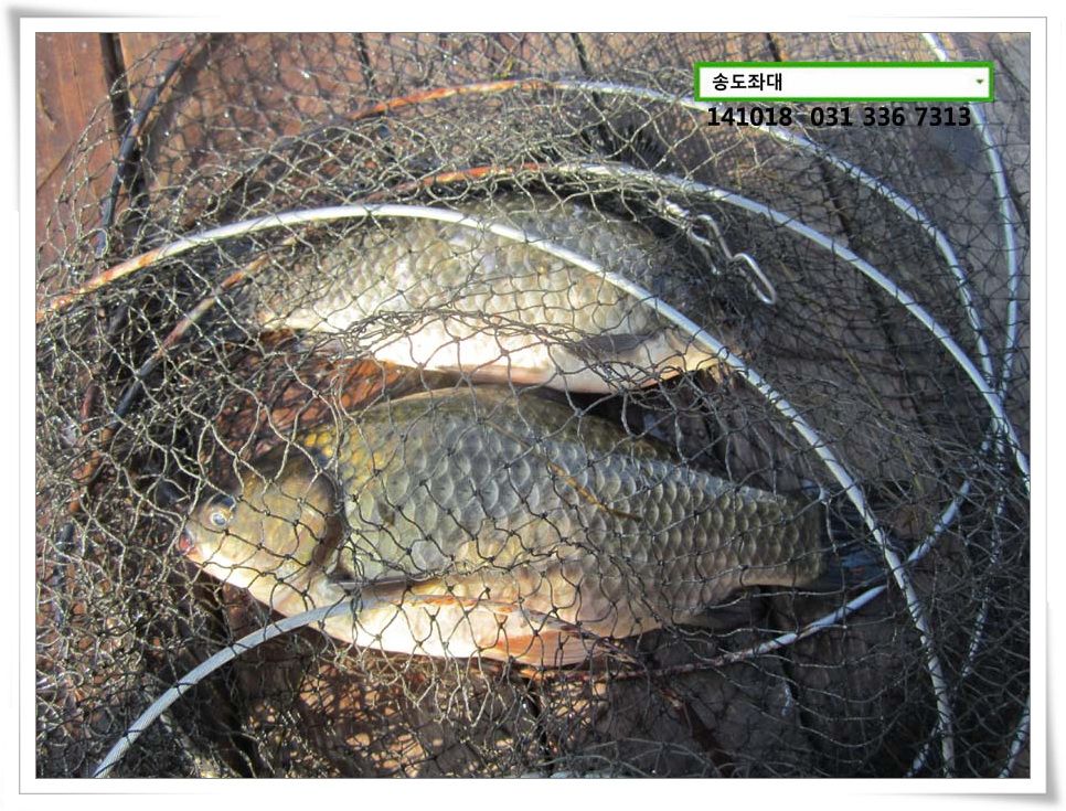 IMG_0020.JPG copy.jpg