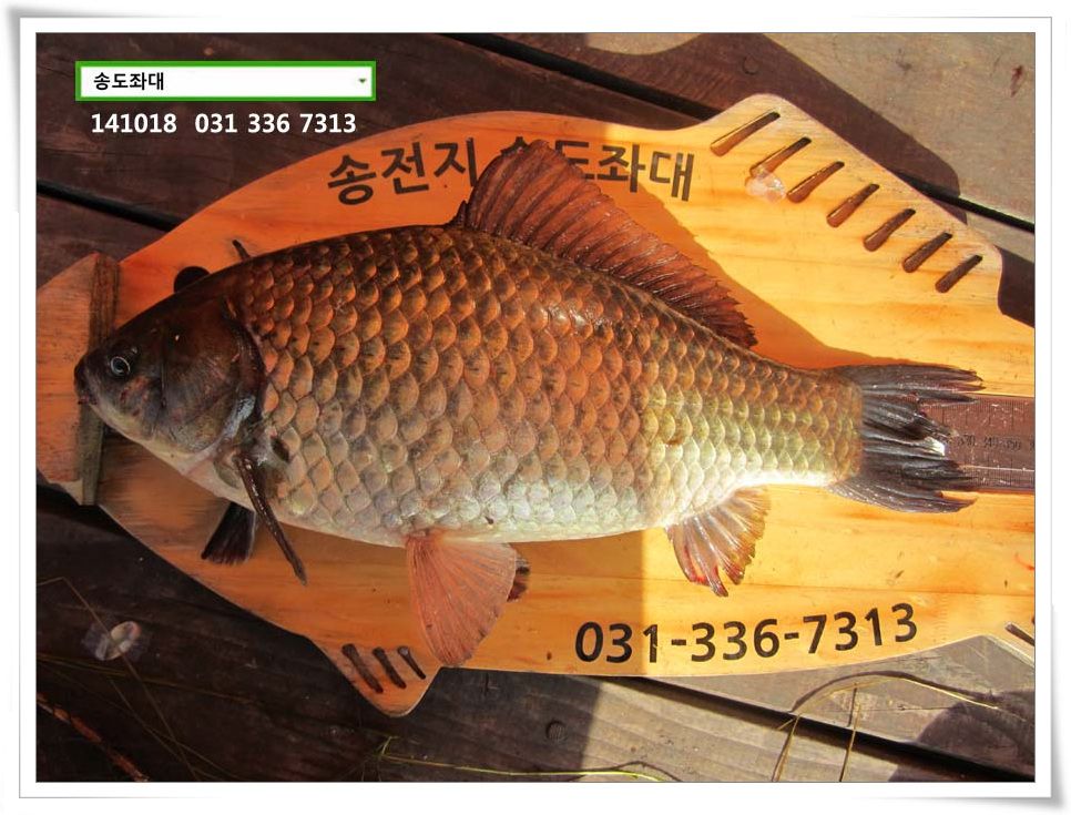 IMG_0025.JPG copy.jpg