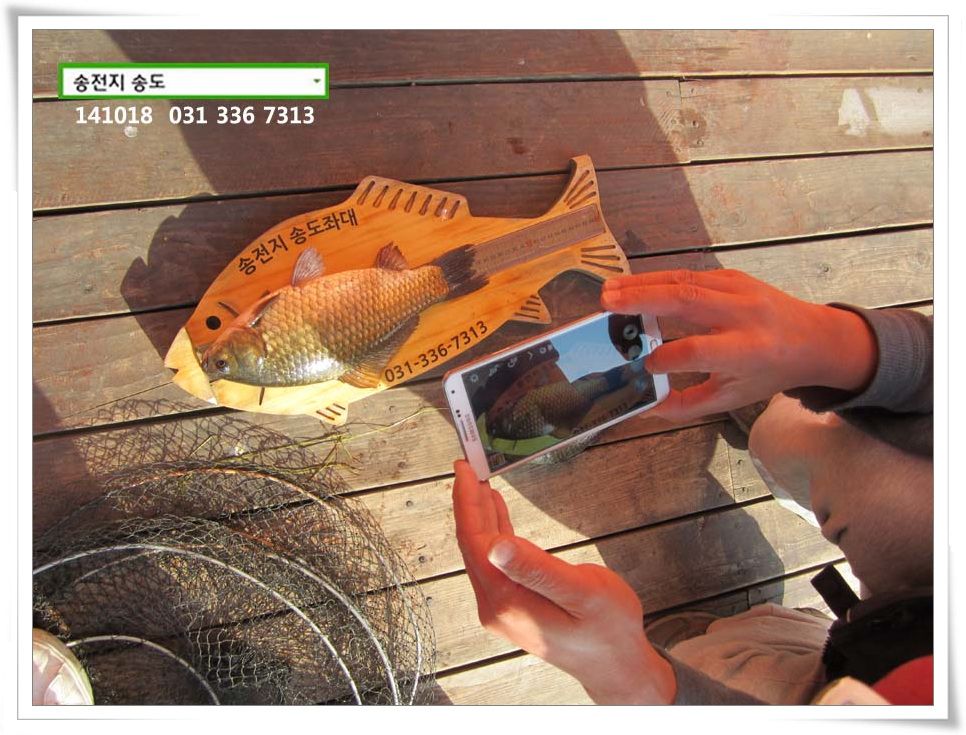 IMG_0024.JPG copy.jpg