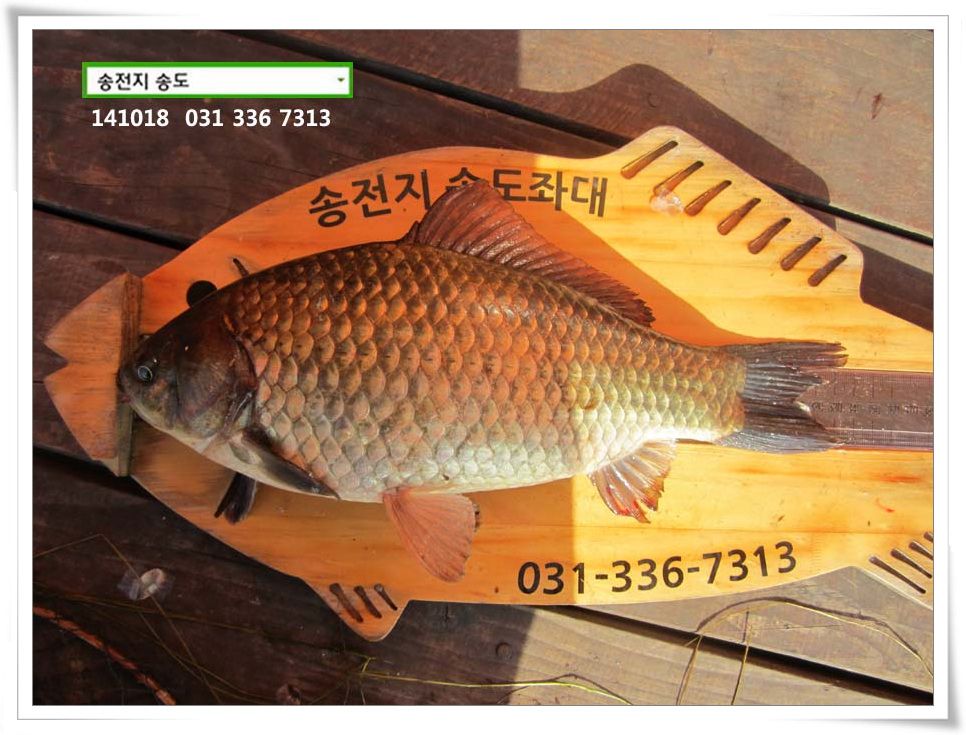 IMG_0028.JPG copy.jpg