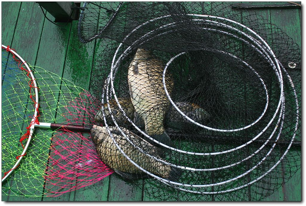 7�������� 13097.jpg