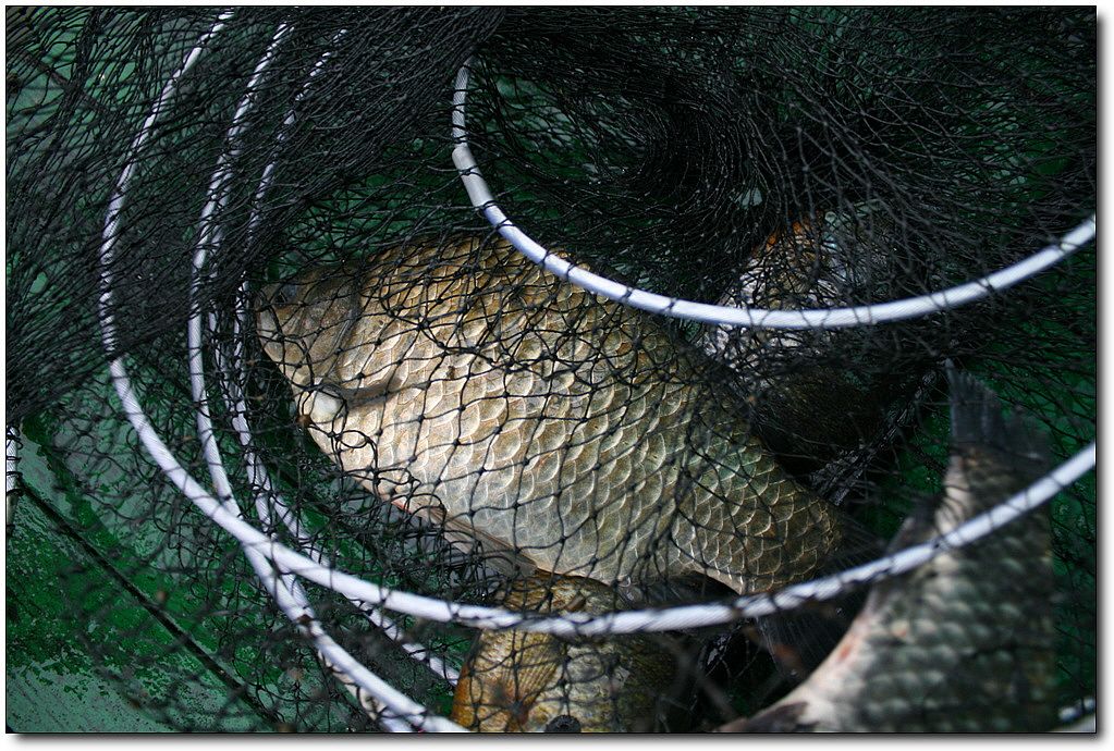 7�������� 13102.jpg