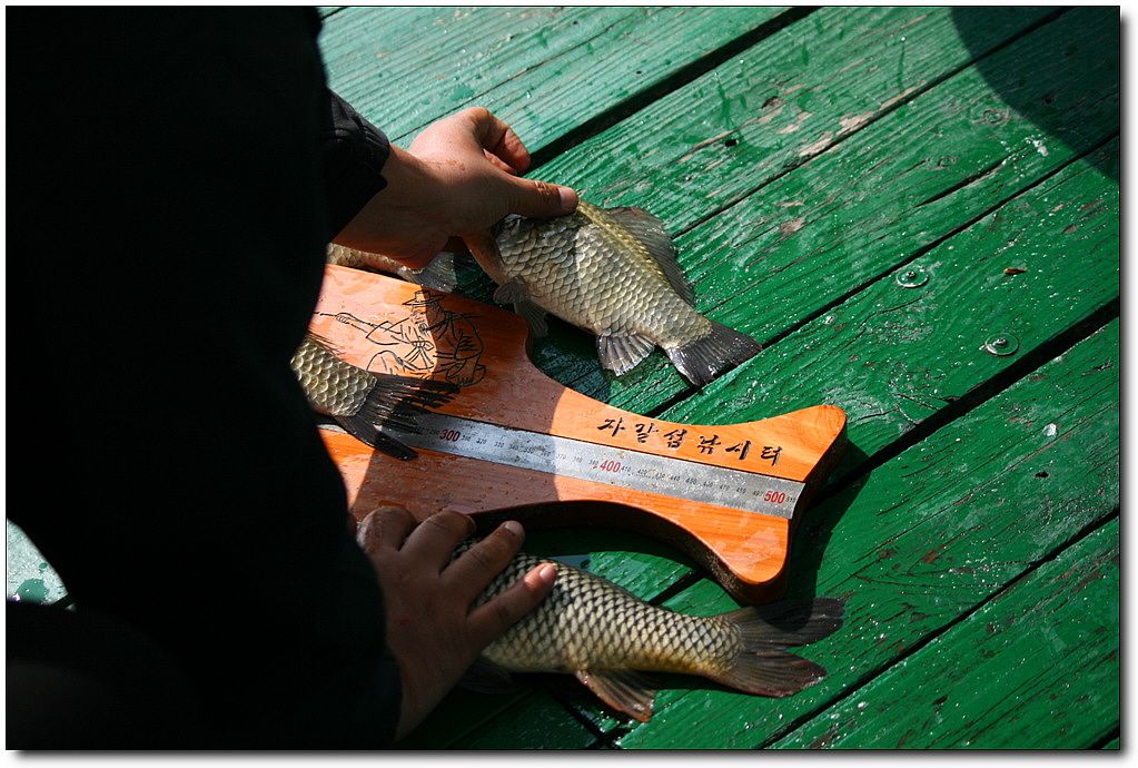 7�������� 13036.jpg