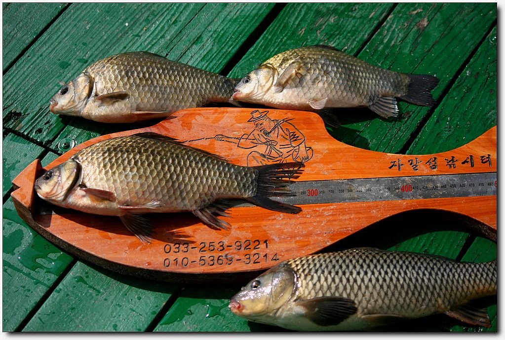 7�������� 13044.jpg