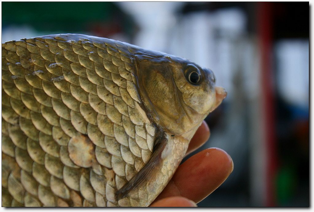 7�������� 13056.jpg