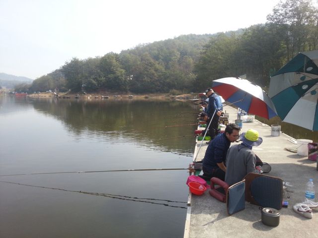 20141019_112615.jpg