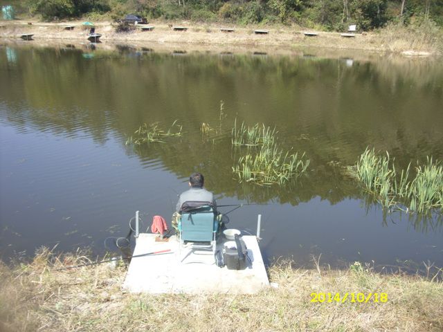 SDC16683.jpg