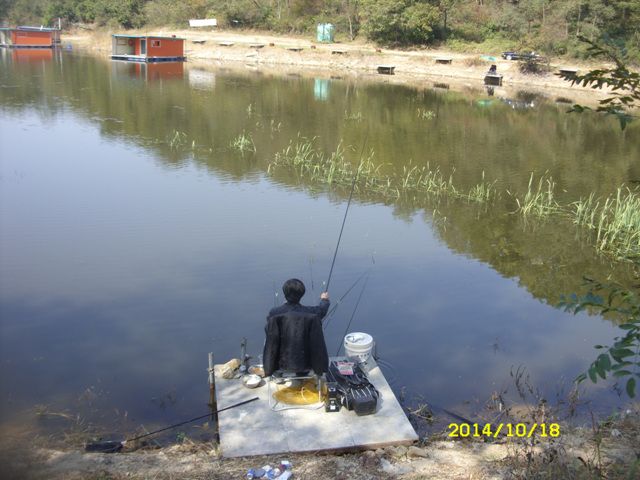 SDC16684.jpg