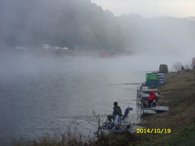 SDC16709.jpg