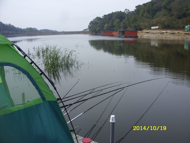 SDC16726.jpg